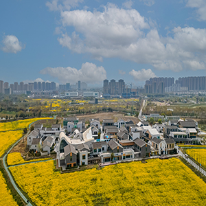 绿动合肥 无废友约 2025合肥市“国际无废日”主题活动